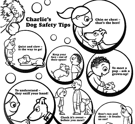 SPCA teacher portal dog safety tips