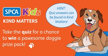 2024 kind matters dog quiz teacher portal banner_3