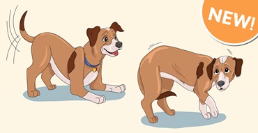 dog safe