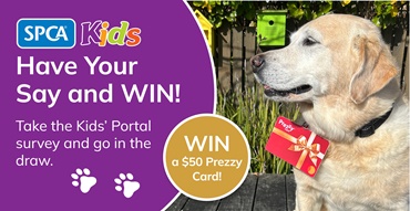 kids survey images 2025_tp