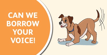 dog safe image tp banner2