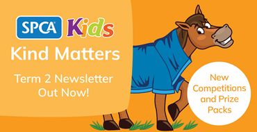 kind matters term two 2026 banner.png