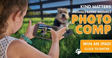 kp banner aug 2025 comp-min