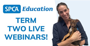 webinar image tp banner